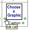 Edit a Cell